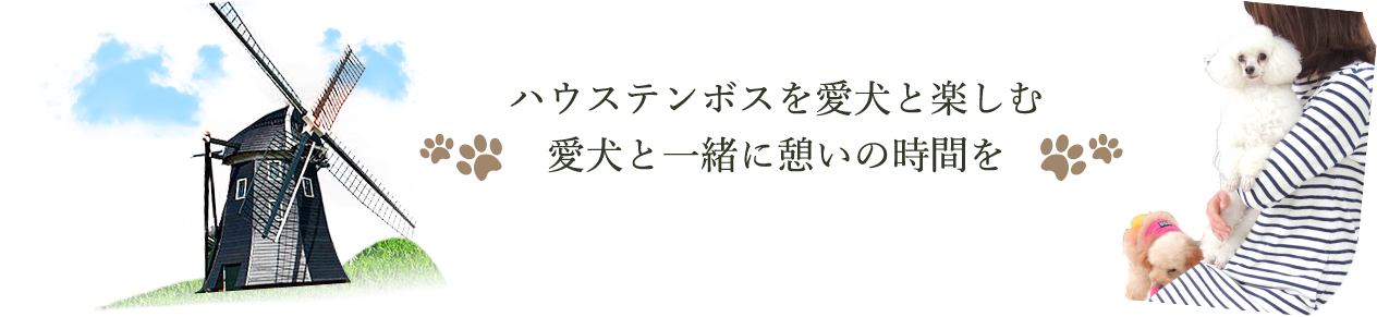ハウステンボスを愛犬と楽しむ