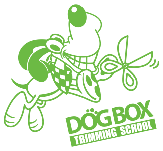 長崎唯一のトリマー専門学校 DOGBOX