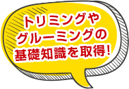 トリミングやグルーミングの基礎知識を取得!