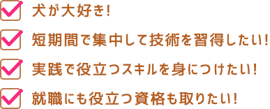 犬が大好き！