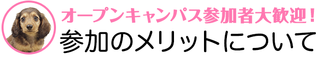 参加のメリットについて