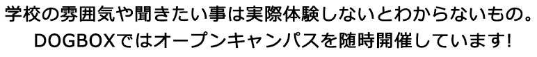 DOGBOXではオープンキャンパスを随時開催しております。